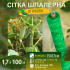 Сітка 1,7х100 шпалерна зелена AgroStar 15х17см для огірків рослин винограду шпалера огорожі саду городу
